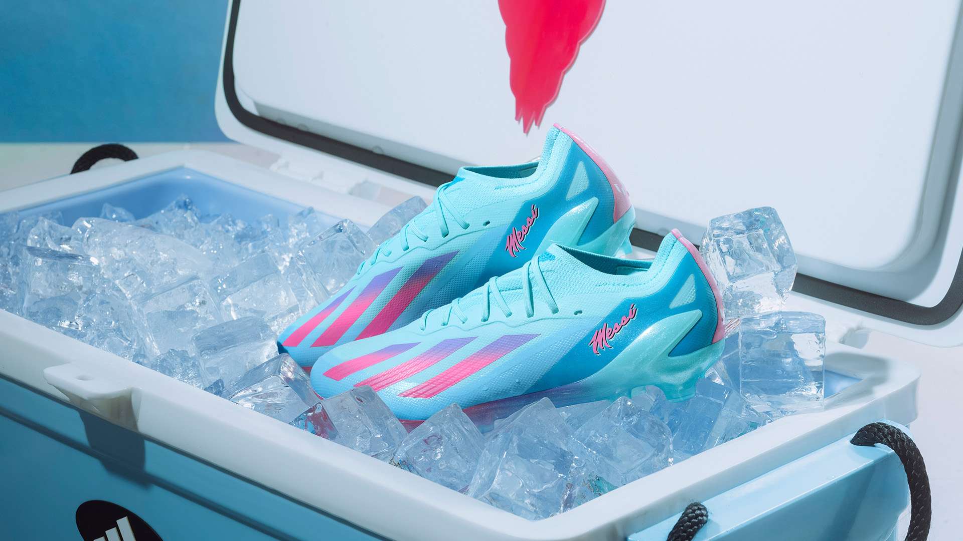 他希望通过 他希望通过